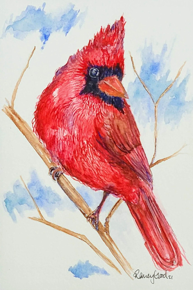 Cardinal Signs Art | Art by Raney Good