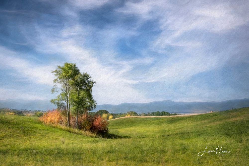 An Early Autumn Day Photography Art | Lynne Marie Photography