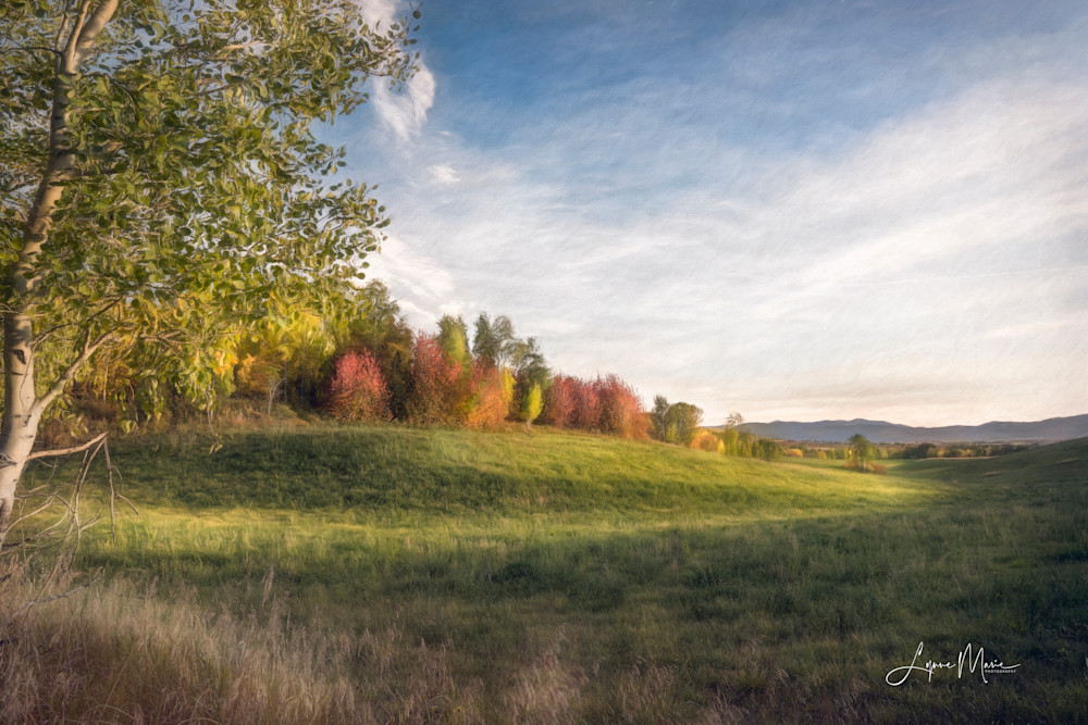 A Quiet Autumn Evening Photography Art | Lynne Marie Photography
