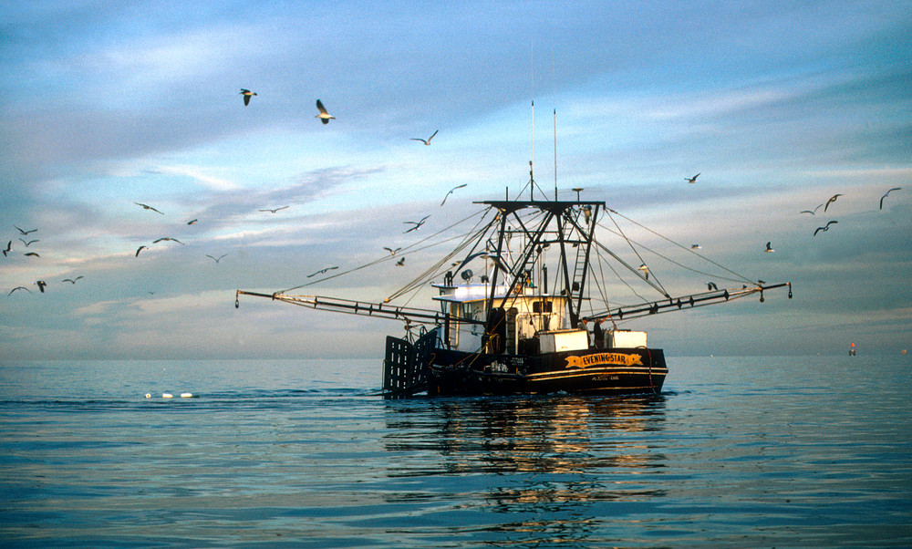 Evening Star Shrimp Boat with Arms Extended