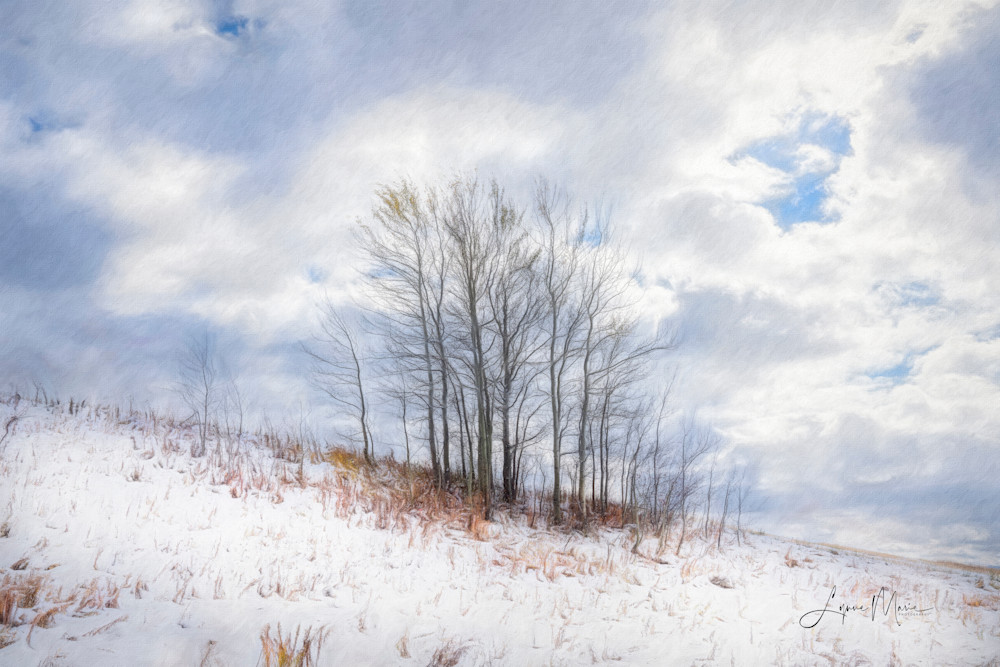 An Early Winter Photography Art | Lynne Marie Photography