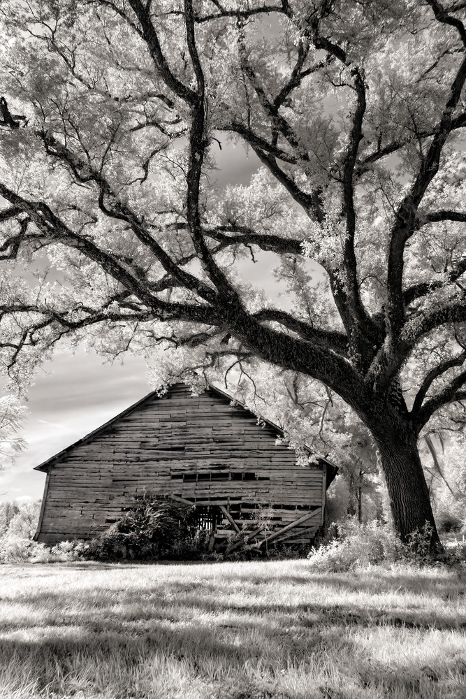 Old Barn Florida Infrared