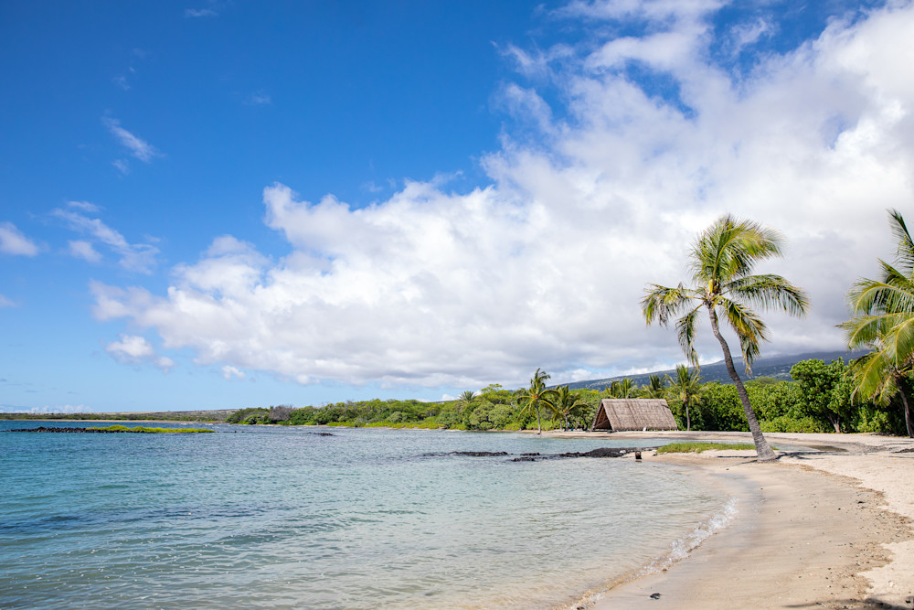 Hawaiian Sunshine