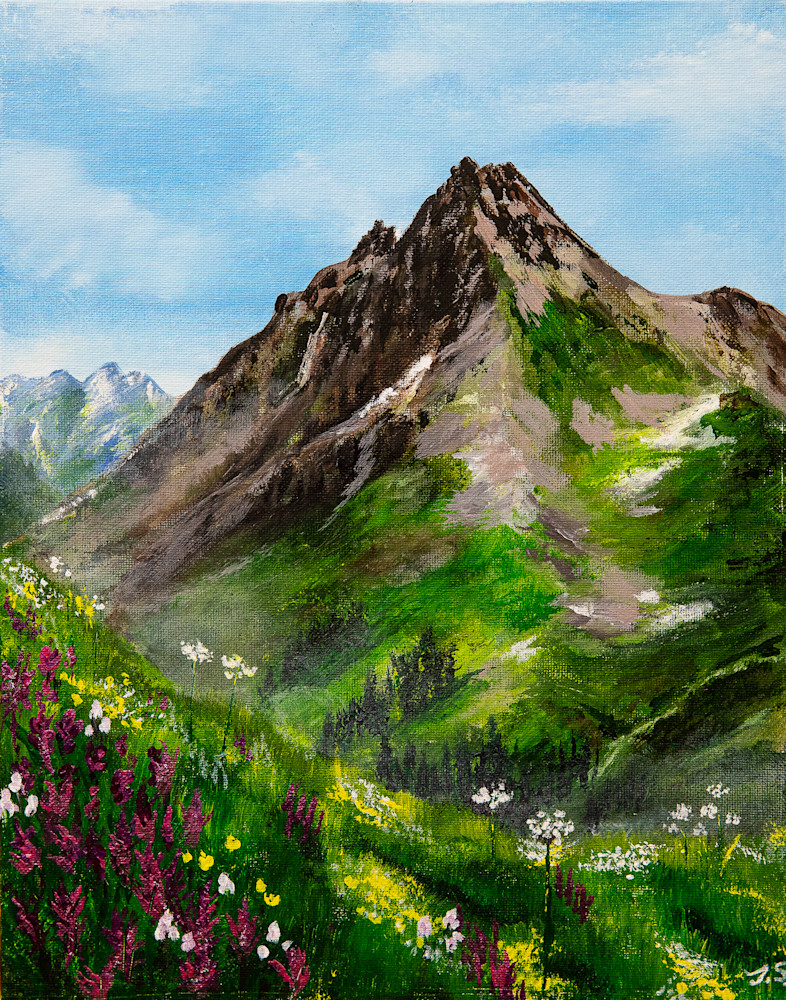 Yankee Boy Basin