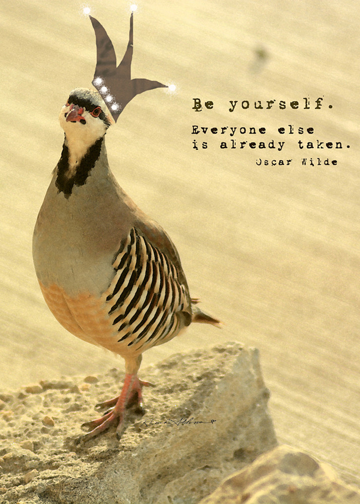 Be Yourself Bird Art
