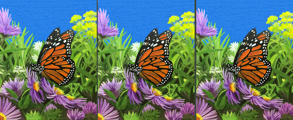 Monarch In A Field Of Asters Art | Judy's Art Co.
