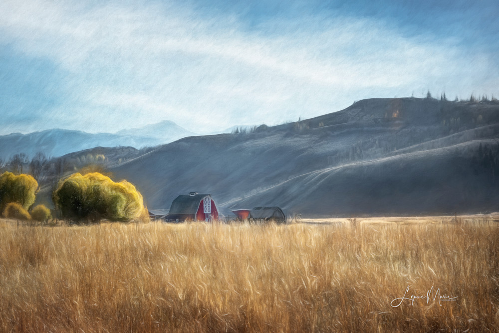 An Old Red Barn Rural Scene Photography Art | Lynne Marie Photography