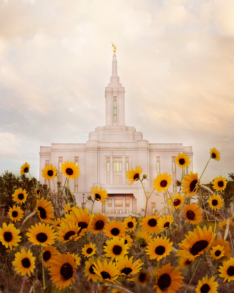 Pocatello Temple Wild Sunflowers Art | Mandy Jane Williams Art
