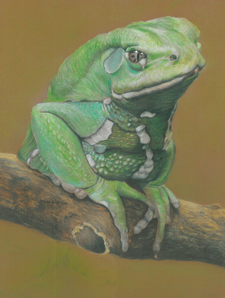 Frog Prince  Art | Nature Art by Linda Estill