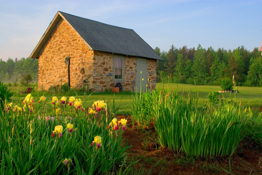 Yellow Iris Cottage Gift Items Photography Art | Sanderson Photo Art