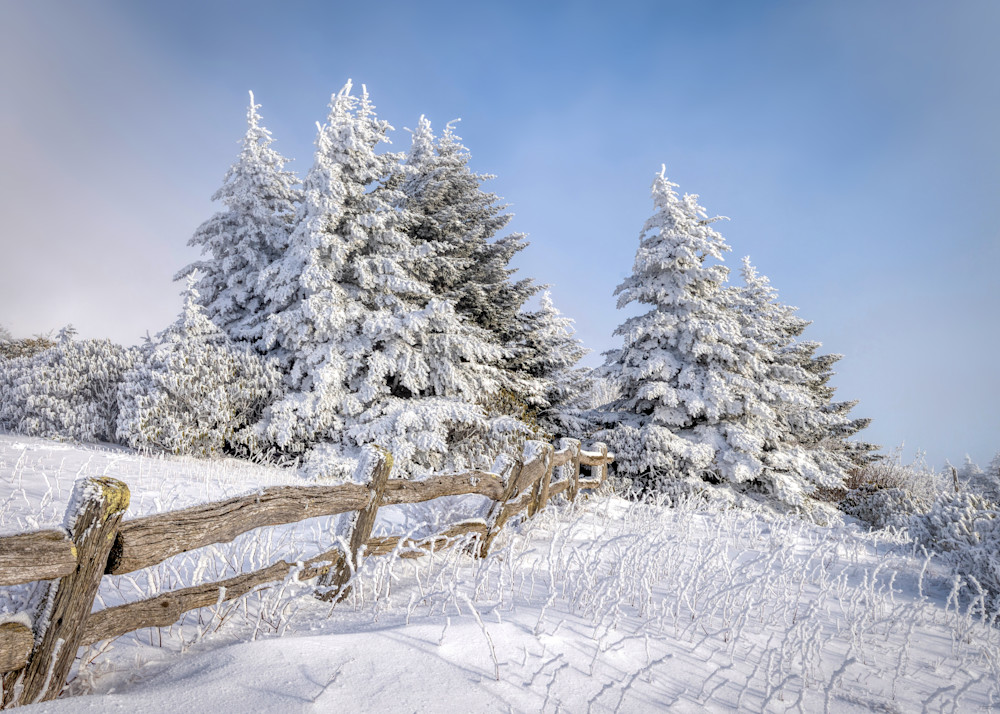 Carver's Trees Snowscape : Roan Mountain, Nc Photography Art | Brad Harper Photography