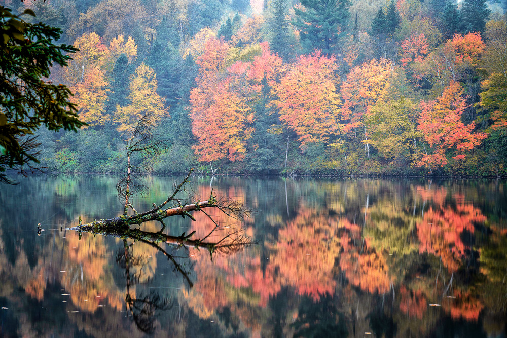 Autumn River Reflections - Minnesota Nature Photography 