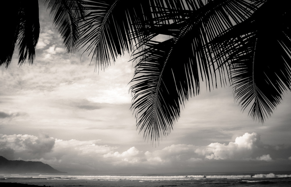 Costa Rica Evening Photography Art | Wendy Humble Photography