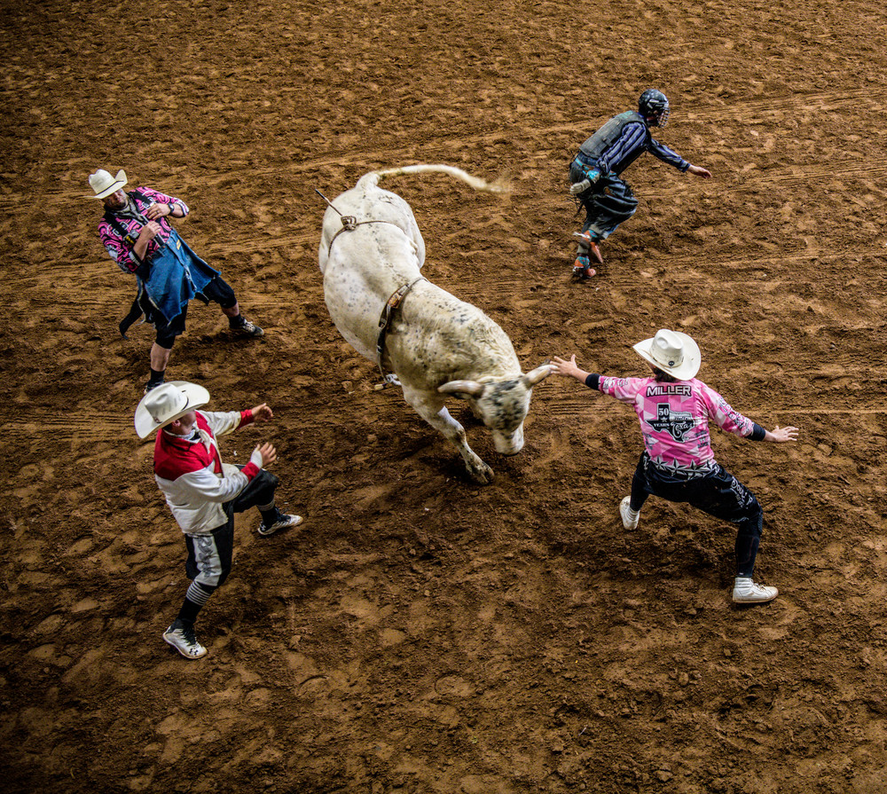 Mess With The Bull, You Get... Photography Art | JoeDuty.com
