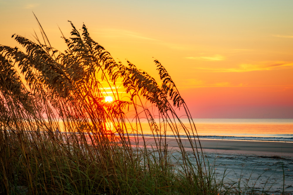 Sunrise from Behind Sea Oats on South Beach
