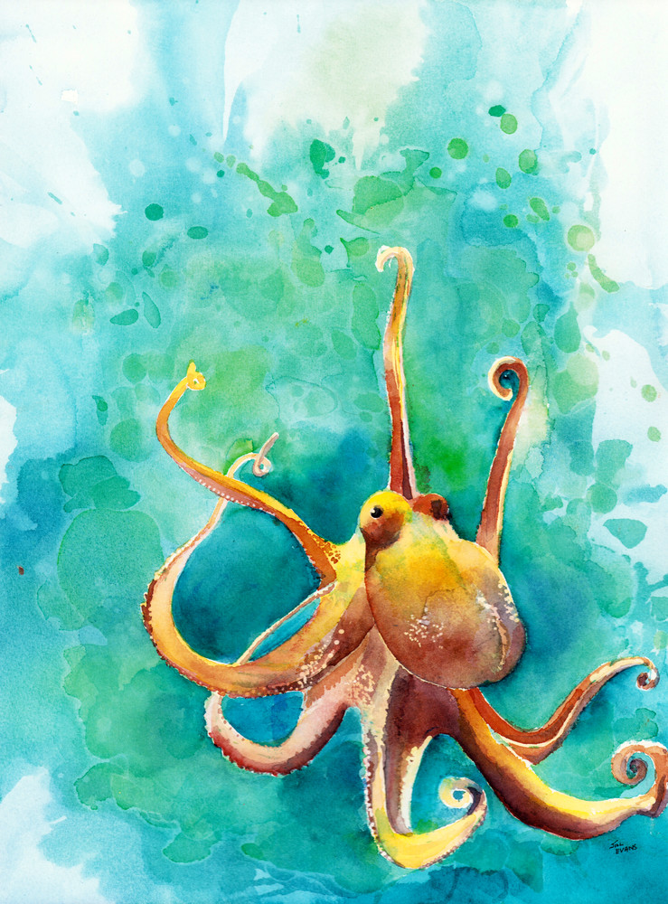 Octopus  Art | Jill Evans art + design