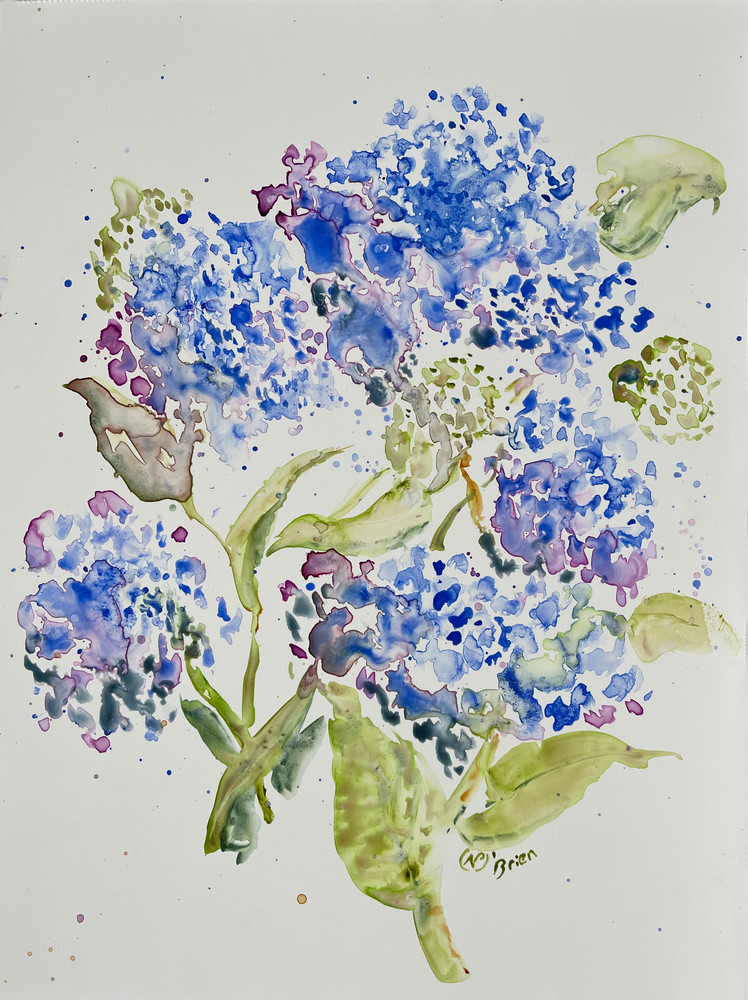 Hydrangeas Series 1 Art | Color Splash Ranch
