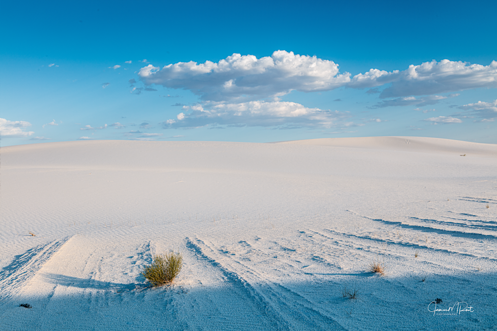 White Sands V Art | JRootGallery.com