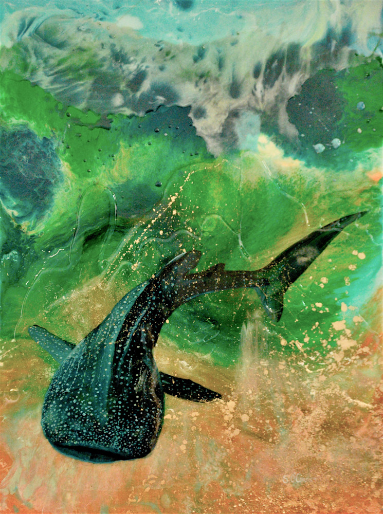 Whaleshark Art | Sarah O'Connor Art