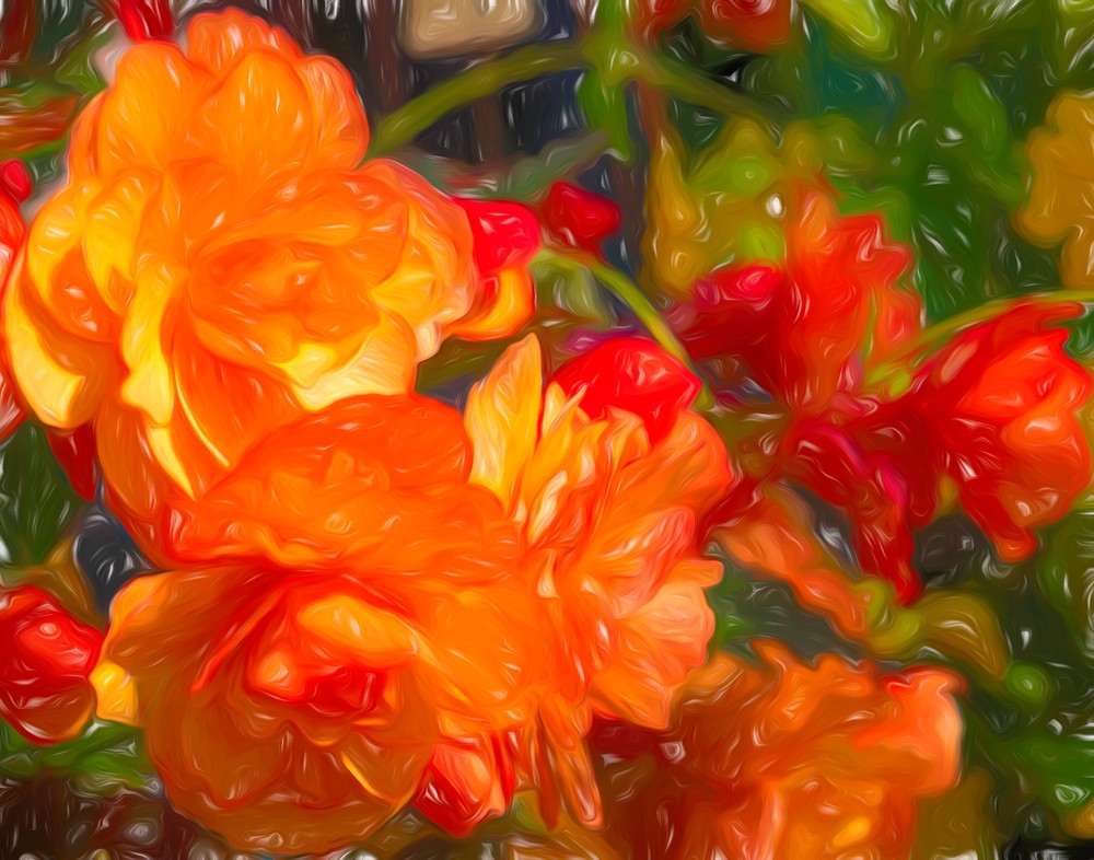 Peach Colored Flower Lines Photography Art | Photoeye Inc