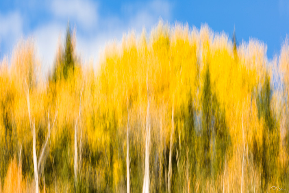 Creative blur of fall trees.