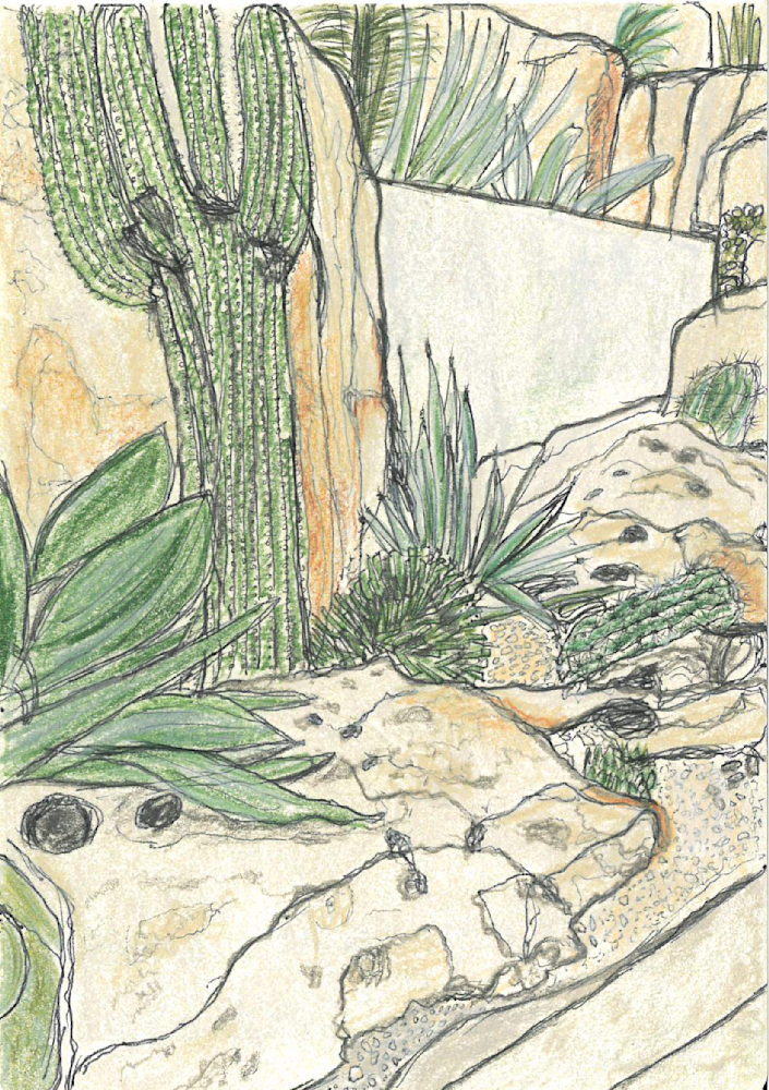 San Antonio Botanical Garden 2 Of 4 Art | LFB Color Consulting 