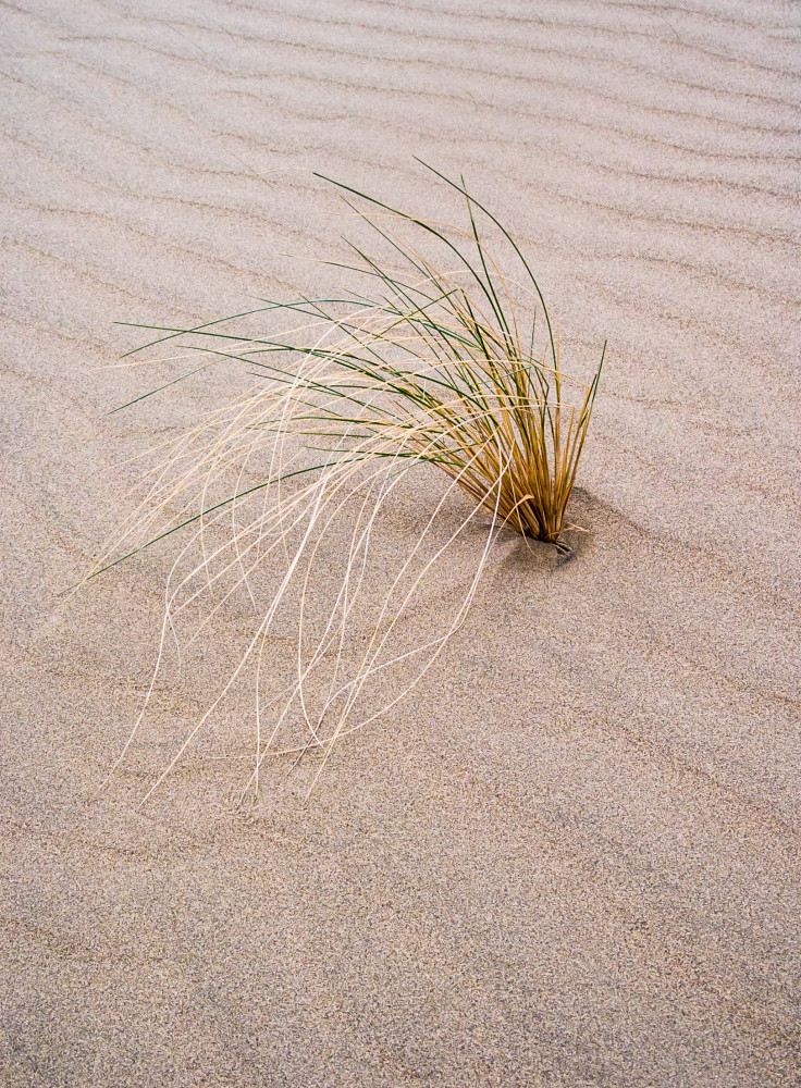 art photography for sale buy artwork online prints for sale Sand vantage Frenchmans coulee