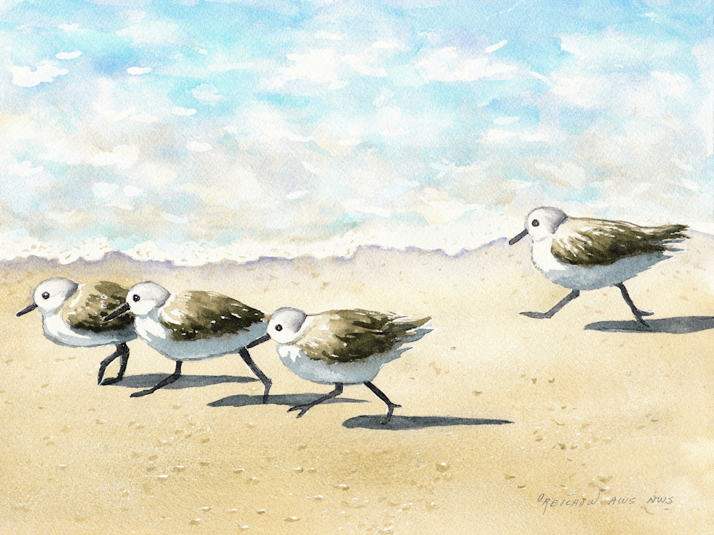 Plover Party Art | Christine Reichow Inc.