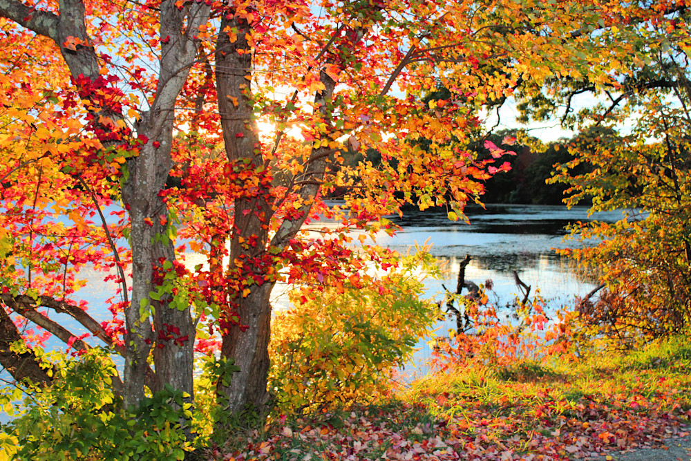 Fall2021 Westboro Lake Chauncy Art51 Photography Art | PixByNic Photography LLC