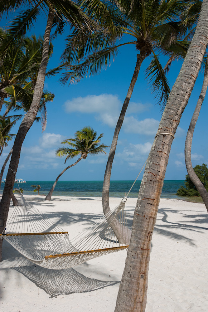 A hammock swings under palm trees on Islamorada, Florida