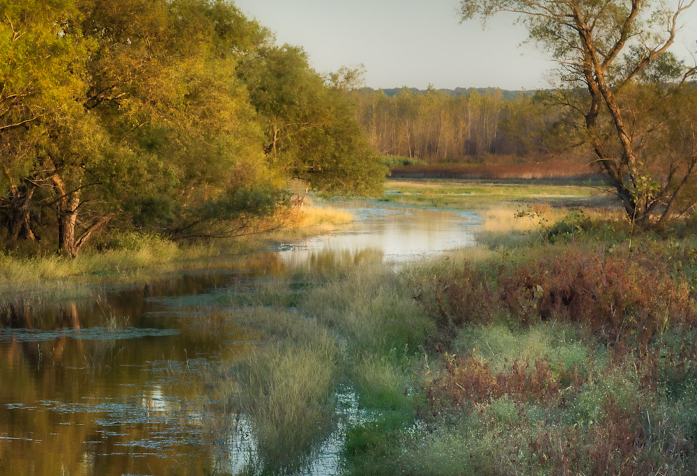 Meandering Wetlands, Boone County, Missouri Photography Art | Deni Cary Phillips Photographs