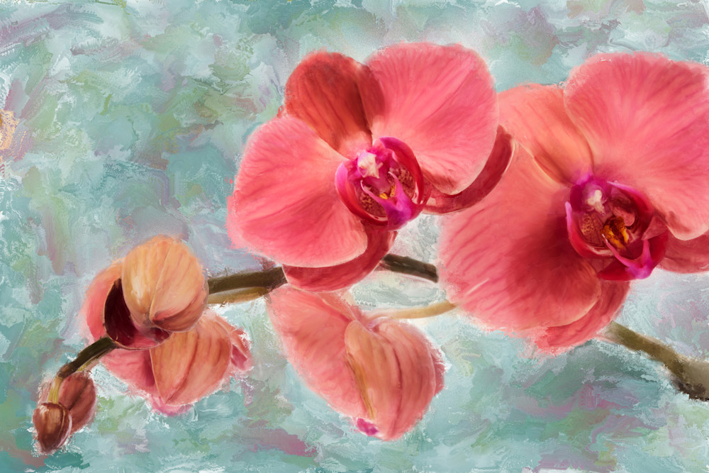 Orchid One Art | Rick Peterson Studio