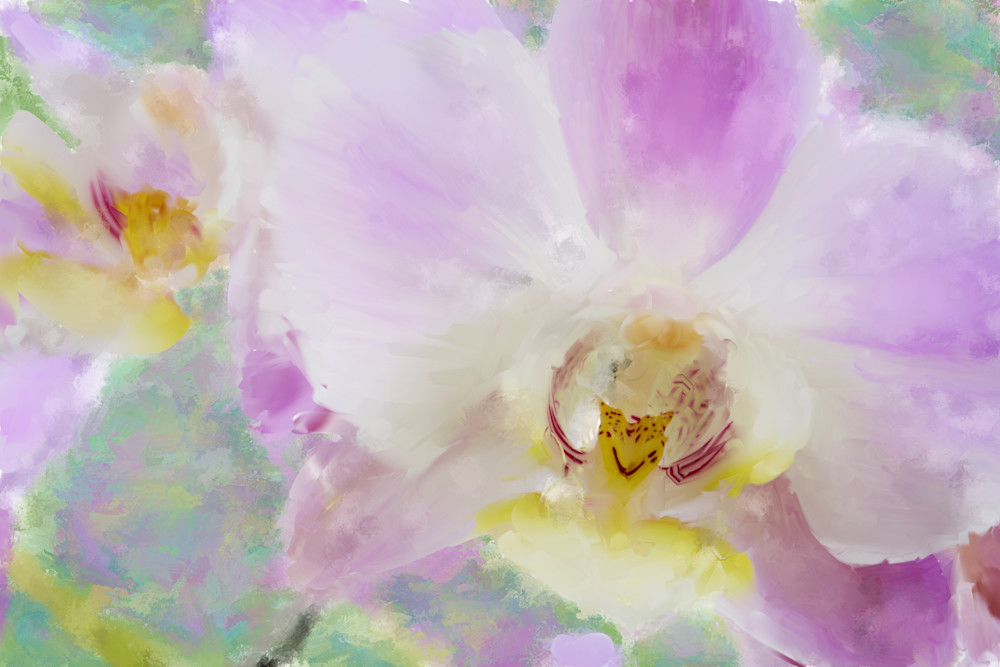 Orchid Three Art | Rick Peterson Studio