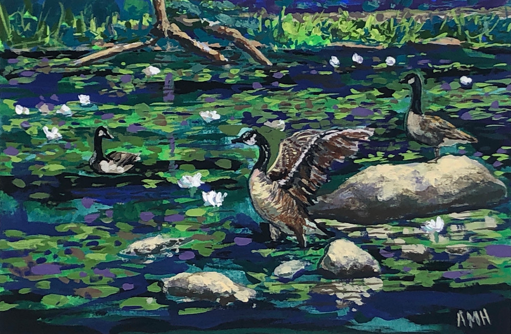 Canadian Feathered Friends Art | Ann Hershberger Art