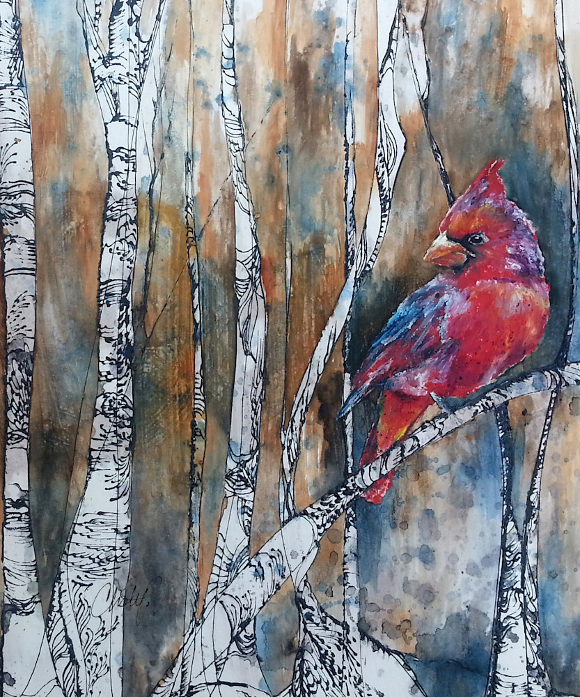 Cardinal Bird in Birch Tree Forest