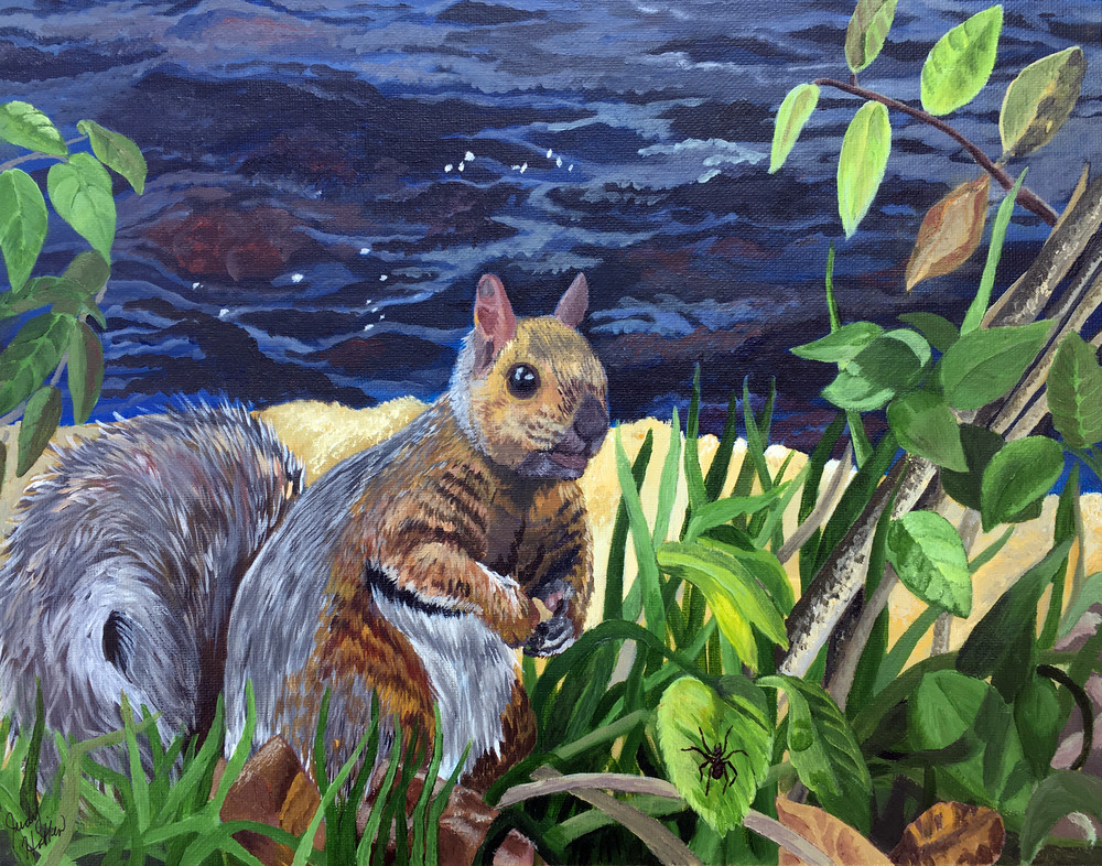 Squirrel by the river