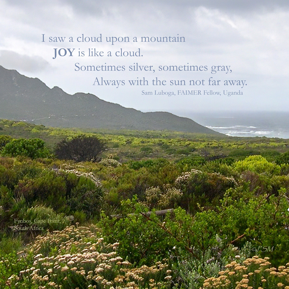 South Africa & Joy Quote, Series 1 