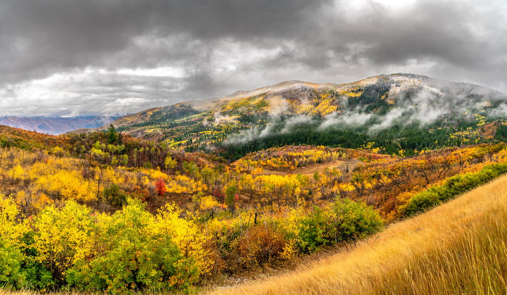 Stormy Day In The Wasatch Mountains Photography Art | Mind Works Images