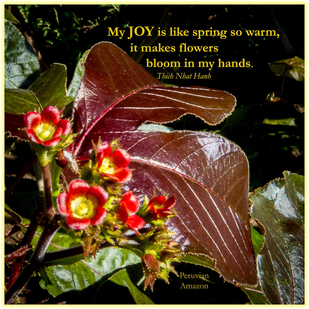 Flowers & Joy Quote 2 