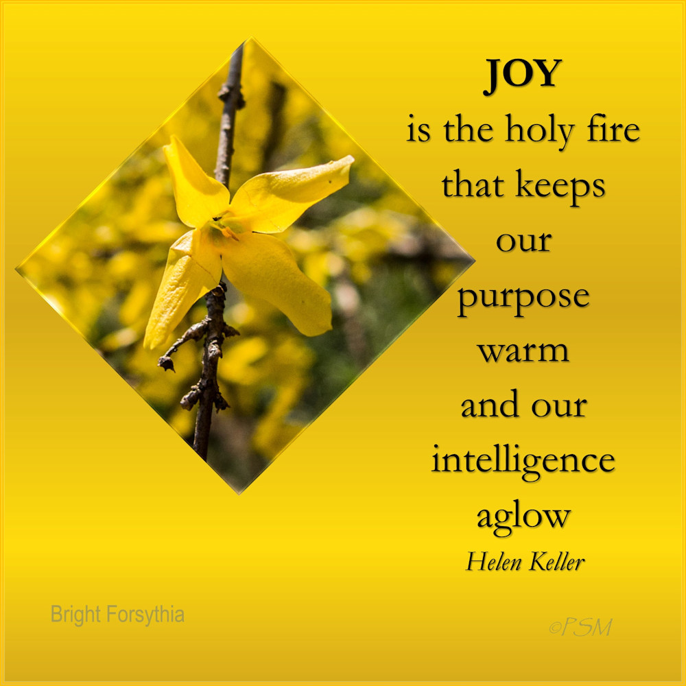 Flowers & Joy Quote 5 