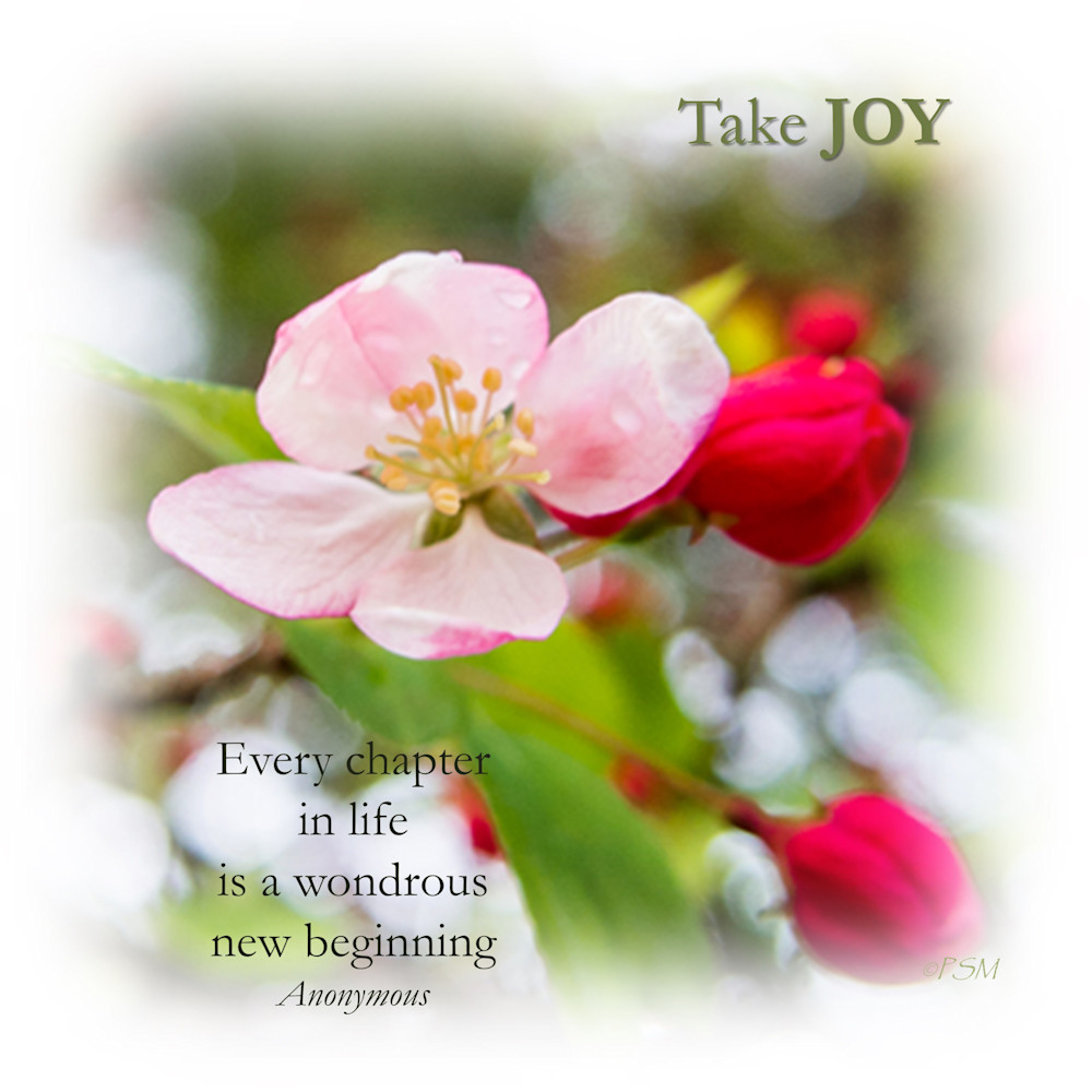 Flowers & Joy Quote 6 