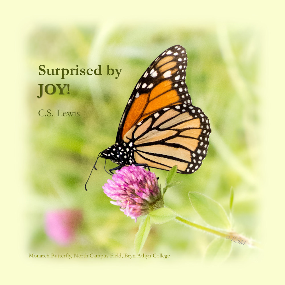 Flowers, Butterfly & Joy Quote 1 