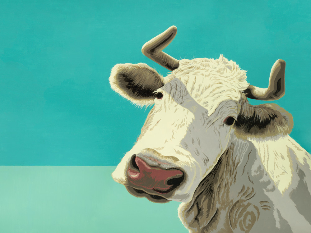 Graphic cow with horns on aqua background