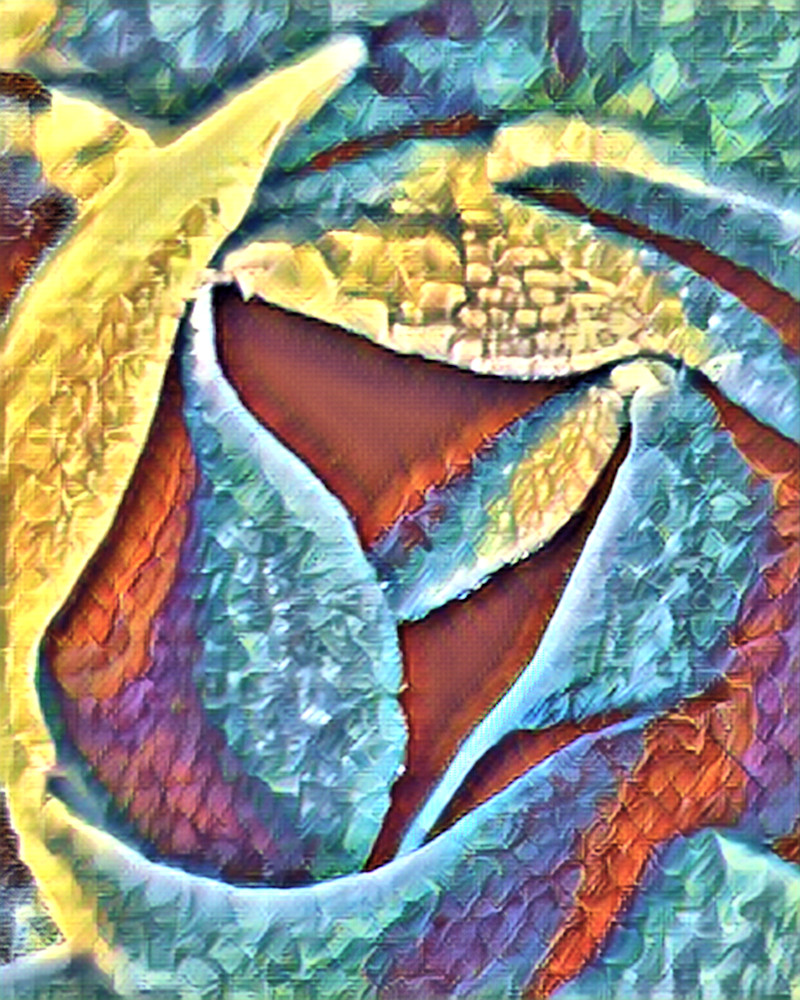 Rose Art | Anthony DePalma
