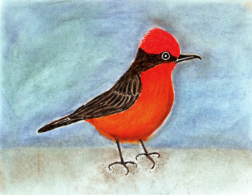 "Birds Of A Feather" Vermilion Flycatcher Art | Jeanine Colini Design Art