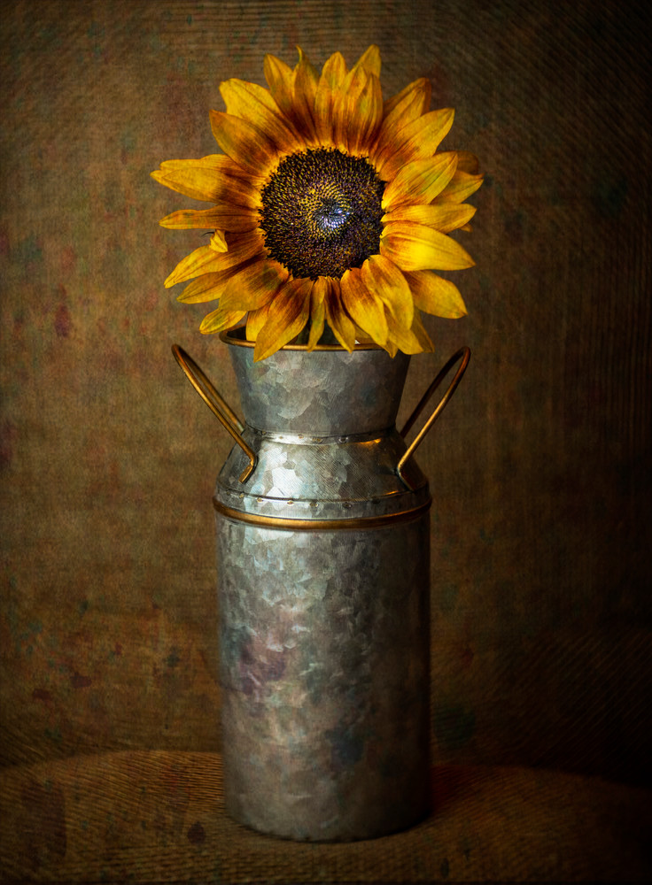 Sunflower And Milk Photography Art | BPB Photography