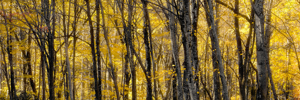 Autumn In The Blue Ridge Mountains