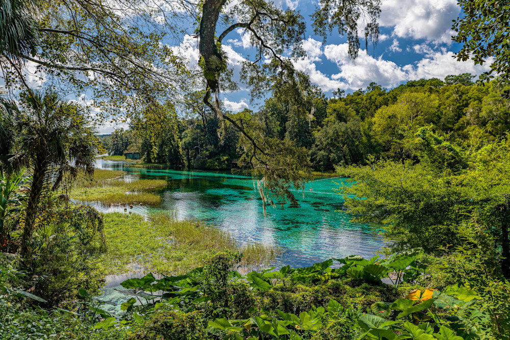 Rainbow Springs Photography Art | kramkranphoto