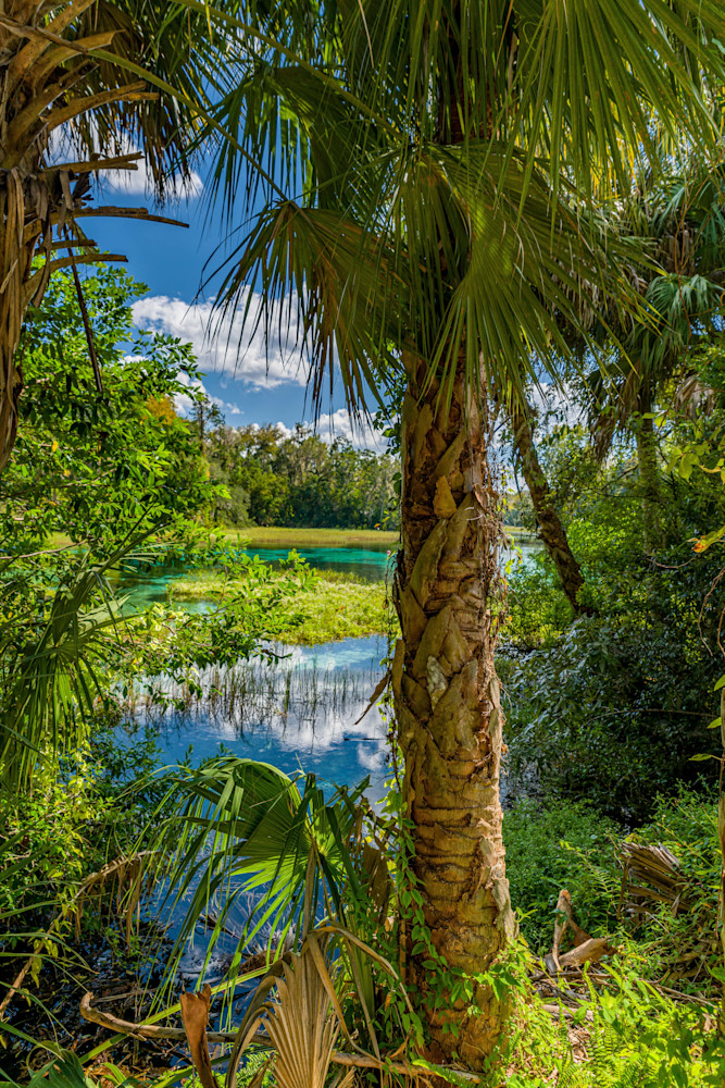Land And Spring Photography Art | kramkranphoto