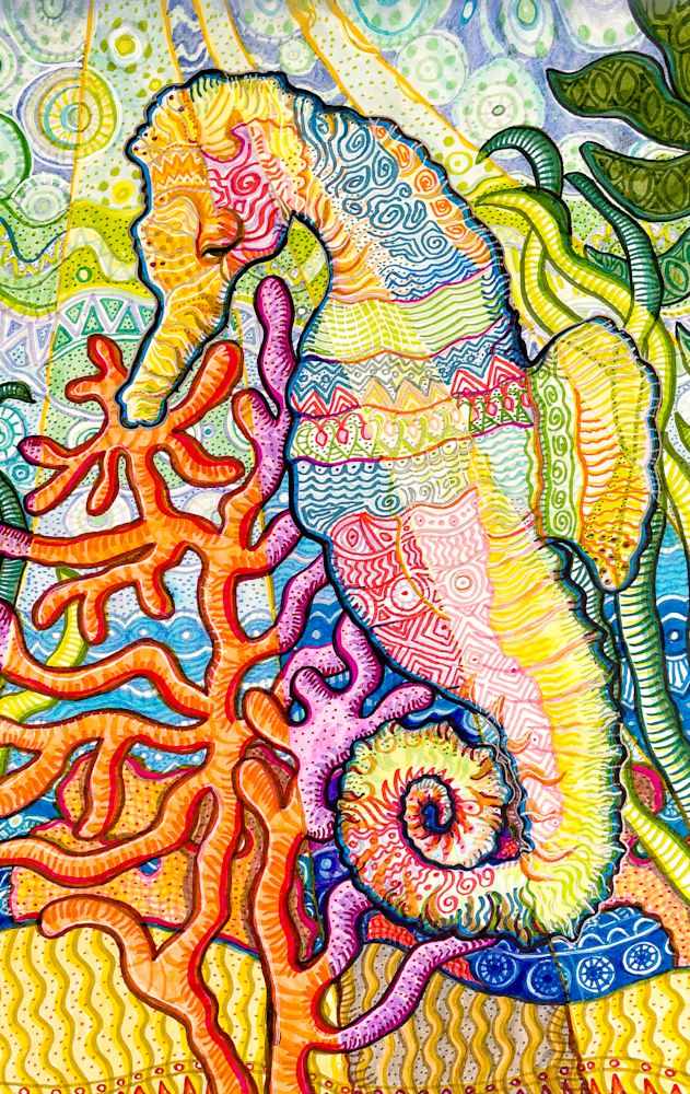 calendarseahorsecove